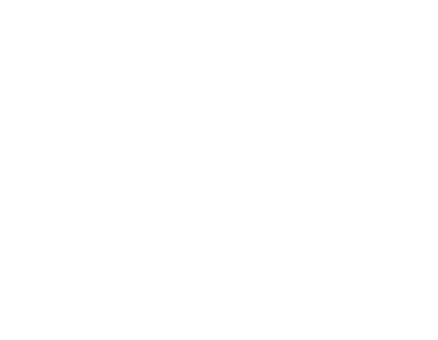 Tarsier